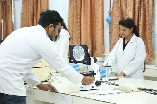 lab-img