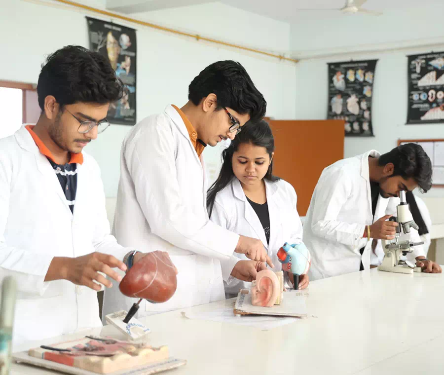 lab