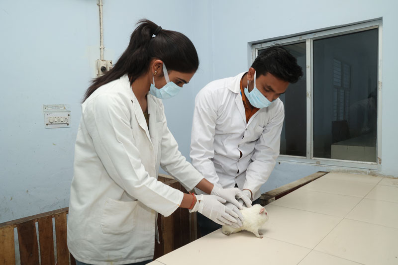 lab-img