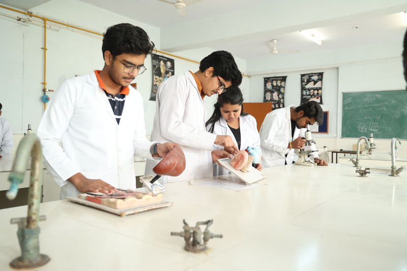lab-img