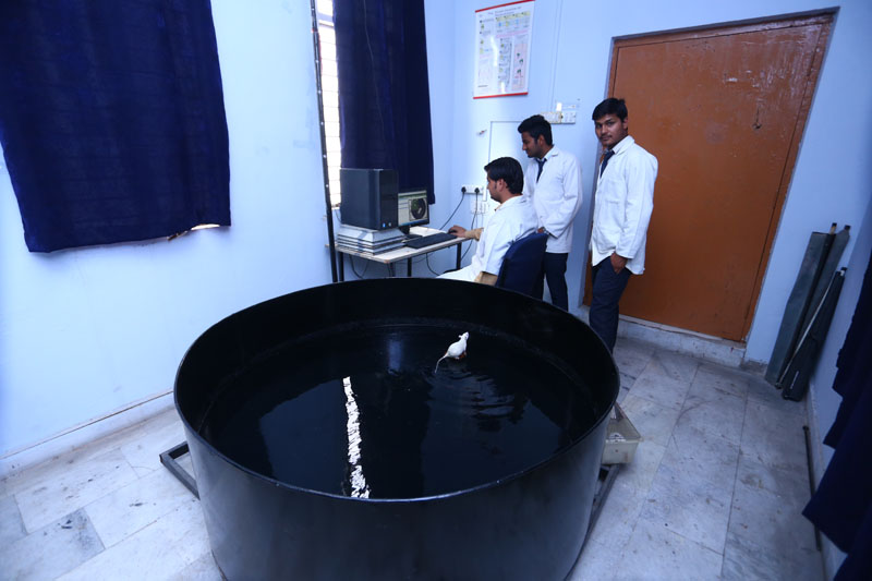 lab-img