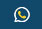 Whatsapp Icon